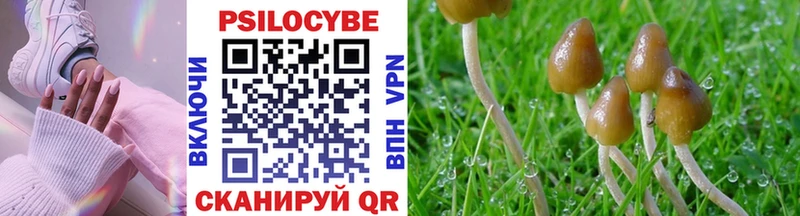 наркошоп  Лихославль  OMG ТОР  Галлюциногенные грибы Psilocybine cubensis 